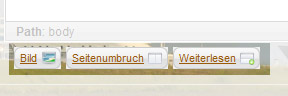 Der MY HOLSTEIN Editor: zusätzliche Funktionen buttons