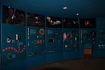 noctalis ausstellung